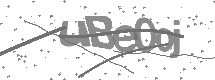visual captcha